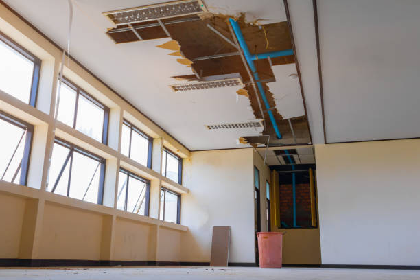Best Water damage restoration process  in Wallace, NC